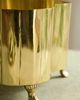 Terrain Polished Brass Quatrefoil Planter - 3