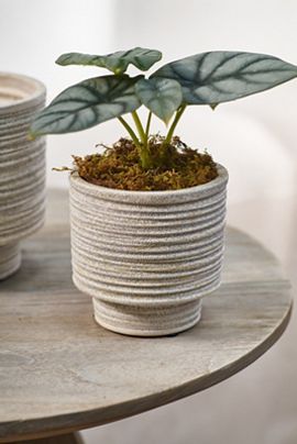 Terrain Ridged Texture Footed Planter, 4.5"