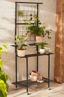 Terrain Iron Shelf Plant Stand