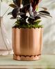 Terrain Scallop Edge Polished Copper Saucer - 3