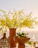 Terrain Sculptural Terracotta Vase - 2