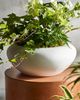 Terrain Smooth Concrete Bowl Planter - 1