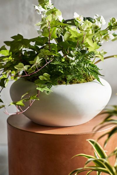 Terrain Smooth Concrete Bowl Planter