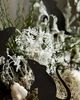 Terrain Standing Rat Paper Decorations, Set of 8 - 1