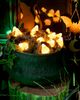 Terrain Stargazer Garden Lights, Set of 21 Bulbs, Candy Corn - 1