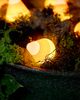 Terrain Stargazer Garden Lights, Set of 21 Bulbs, Candy Corn - 2