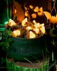Terrain Stargazer Garden Lights, Set of 21 Bulbs, Candy Corn - 8