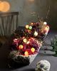 Terrain Stargazer Garden Lights, Set of 21 Bulbs, Heirloom - 1
