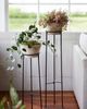 Terrain Tall Iron Plant Stand - 1