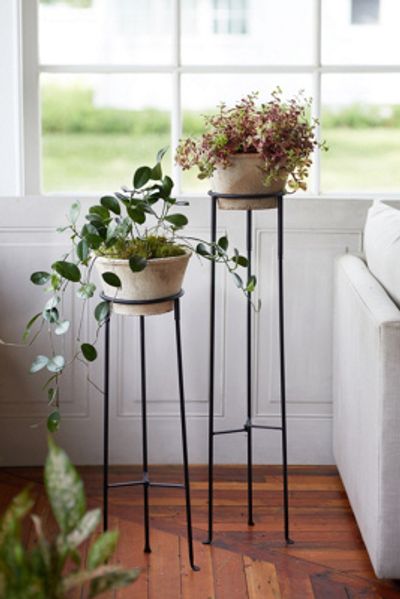 Terrain Tall Iron Plant Stand
