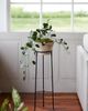 Terrain Tall Iron Plant Stand - 4