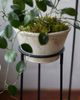 Terrain Tall Iron Plant Stand - 5