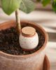 Terrain Terracotta Watering Ollas, Set of 3 - 1