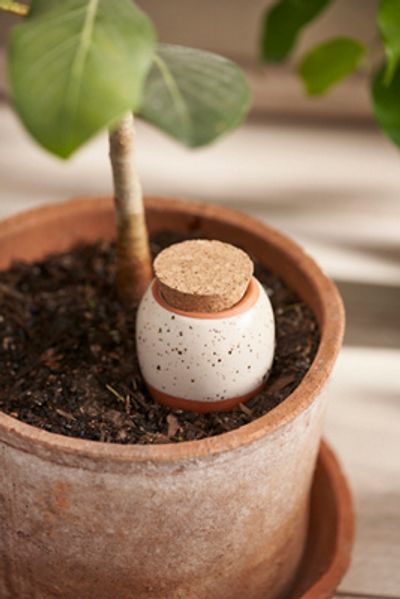 Terrain Terracotta Watering Ollas, Set of 3