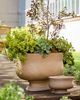 Terrain Torino Concrete Oval Planter - 1