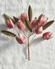 Terrain Tulip Iron Bunch - 2