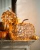 Terrain Twinkling Illuminated Vine Pumpkin - 1