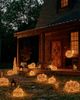 Terrain Twinkling Illuminated Vine Pumpkin - 2
