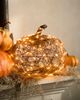 Terrain Twinkling Illuminated Vine Pumpkin - 4