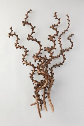 Terrain Twisted Ladder Branch