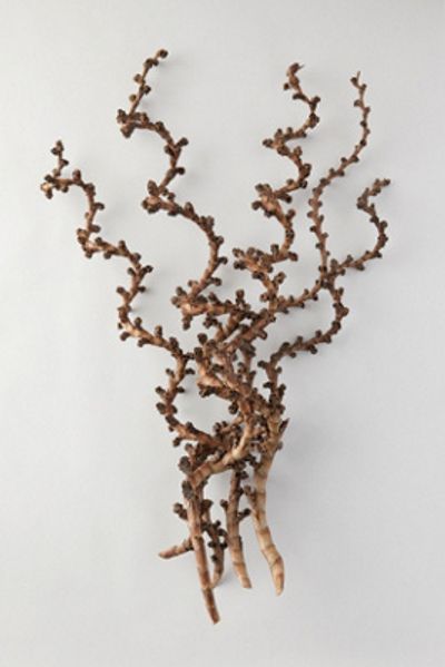 Terrain Twisted Ladder Branch