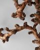 Terrain Twisted Ladder Branch - 3