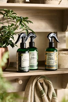 Terrain Urban Gardener Plant Care Trio