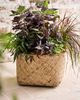 Terrain Woven Bamboo + Fiber Square Base Planter, Low - 1