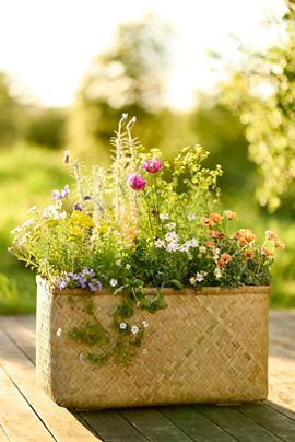 Terrain Woven Bamboo + Fiber Trough Planter