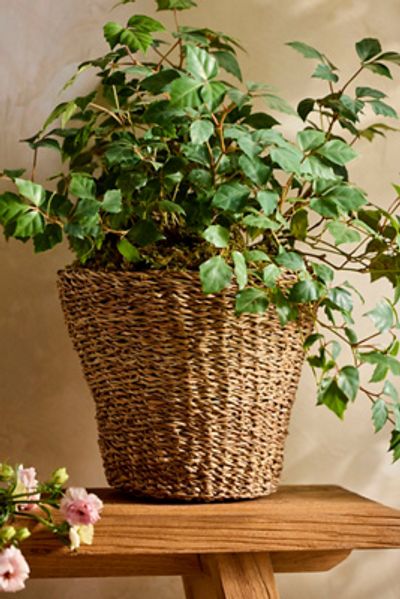 Terrain Woven Rattan Taper Basket Planter