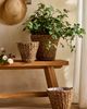 Terrain Woven Rattan Taper Basket Planter - 3