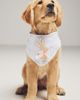 The Deluxe Pup Easter Bunny Pet Bandana - 1