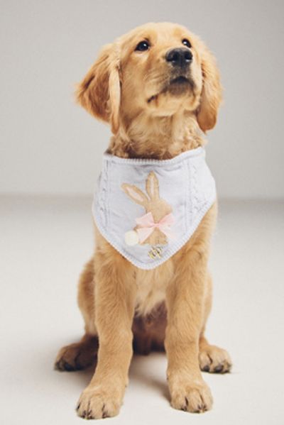 The Deluxe Pup Easter Bunny Pet Bandana