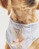 The Deluxe Pup Easter Bunny Pet Bandana - 2