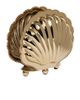 The Favorites The Favorites Cap Ferrat Fan Shell Napkin Holder - 1