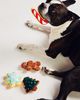 The Foggy Dog Christmas Cookie Dog Toys, Set of 4 - 1