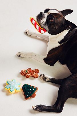 The Foggy Dog Christmas Cookie Dog Toys, Set of 4