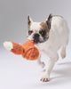The Foggy Dog Fox 2-in-1 Bounce Dog Toy - 1