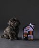 The Foggy Dog Haunted House Interactive Snuffle Dog Toy - 1