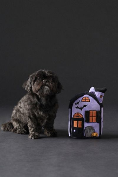 The Foggy Dog Haunted House Interactive Snuffle Dog Toy