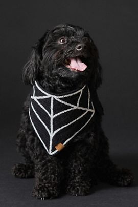 The Foggy Dog Spiderweb Crochet Pet Bandana