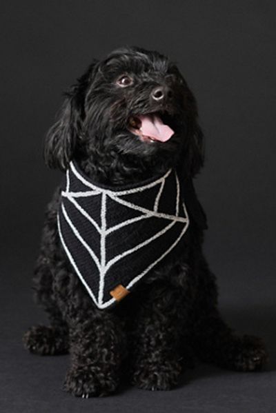 The Foggy Dog Spiderweb Crochet Pet Bandana