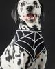The Foggy Dog Spiderweb Crochet Pet Bandana - 2