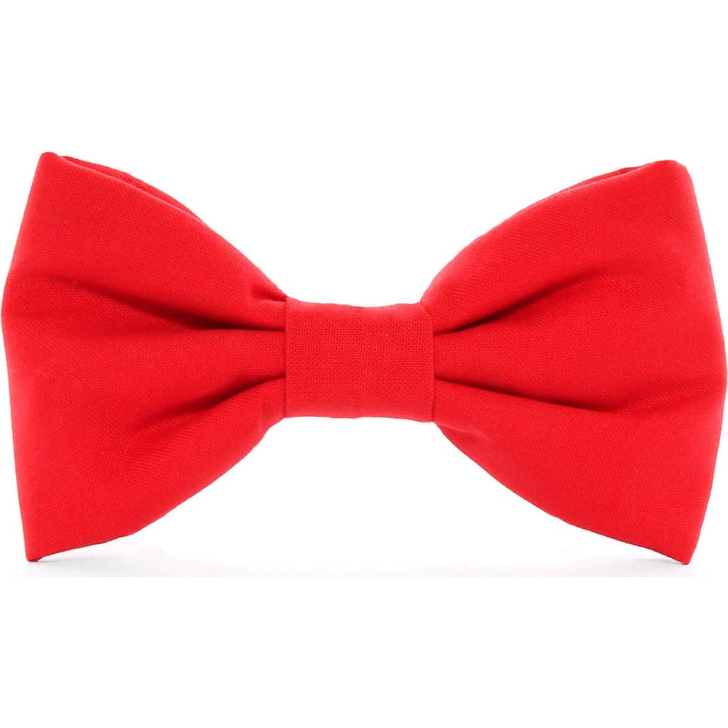 The Foggy Dog The Foggy Dog Dog Bow Tie
