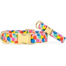 The Foggy Dog The Foggy Dog Pup Pup & Away Dog Collar