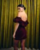 The Frolic The Frolic Exclusive velvet ruched bardot mini dress in burgundy-Red - 4