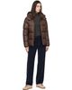 The North Face The North Face Brown Hydrenalite City Hooded Down Jacket - 4
