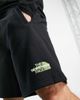 The North Face The North Face Coordinates shorts in black - 3