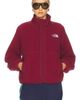 The North Face The North Face Cragmont Snap Front Fleece Jacket - 1