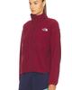The North Face The North Face Cragmont Snap Front Fleece Jacket - 3